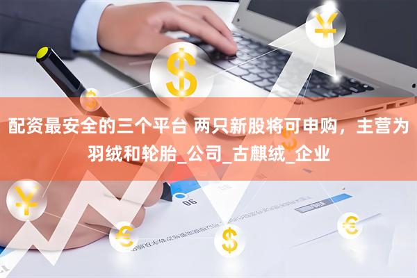 配资最安全的三个平台 两只新股将可申购，主营为羽绒和轮胎_公司_古麒绒_企业