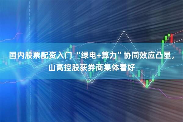 国内股票配资入门 “绿电+算力”协同效应凸显，山高控股获券商集体看好