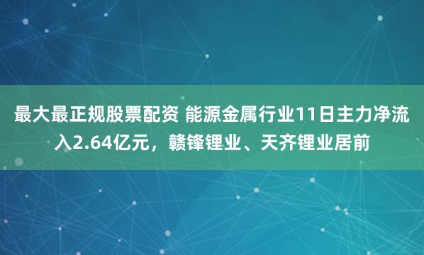 最大最正规股票配资 能源金属行业11日主力净流入2.64亿元，赣锋锂业、天齐锂业居前
