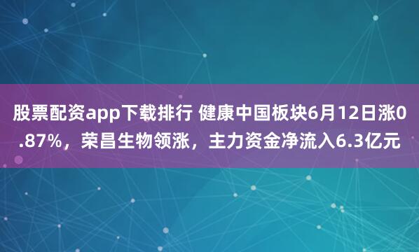 股票配资app下载排行 健康中国板块6月12日涨0.87%，荣昌生物领涨，主力资金净流入6.3亿元